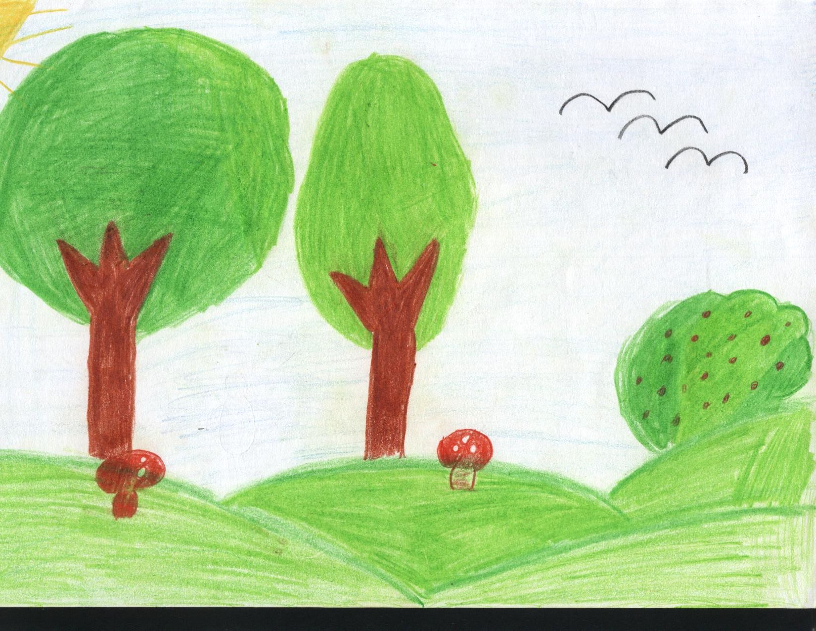 Рисунки Абхазии детские